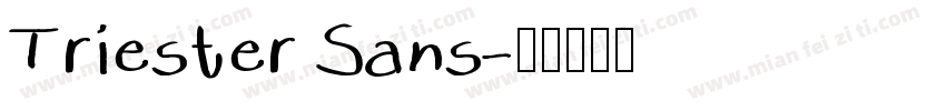 Triester Sans字体转换